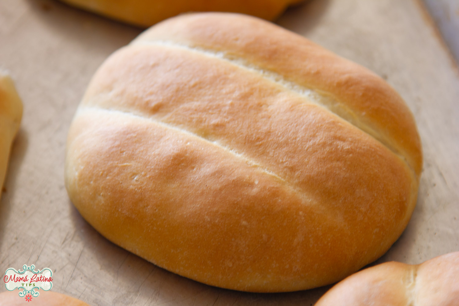 how to make homemade torta bread